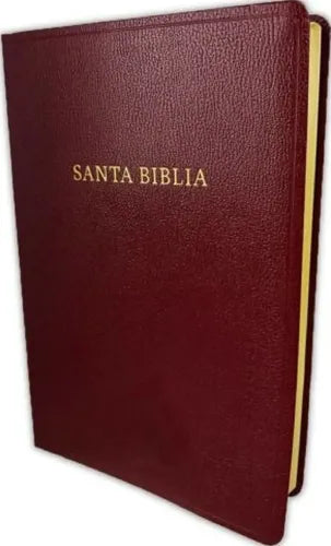 Santa Biblia Letra Super Gigante Con Referencias Rv1960