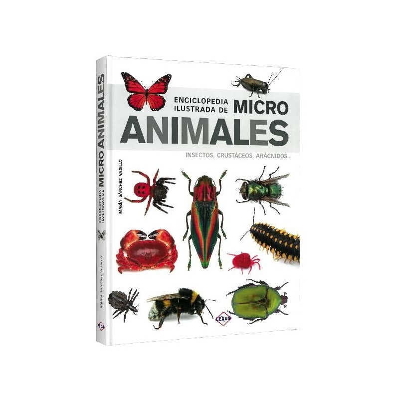 Enciclopedia Ilustrada De Micro Animales (tapa Dura) / Lexus