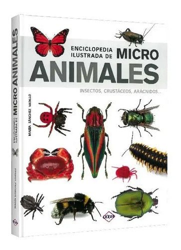 Enciclopedia Ilustrada De Micro Animales (tapa Dura) / Lexus
