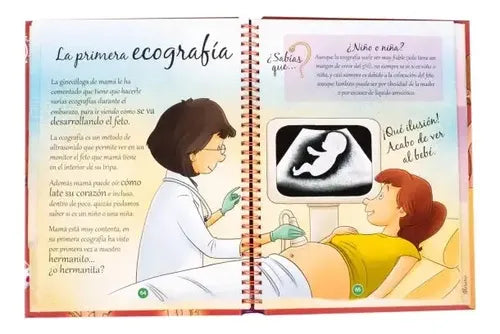 Sexualidad Contada Para Niños Y Niñas (tapa Dura) / Lexus