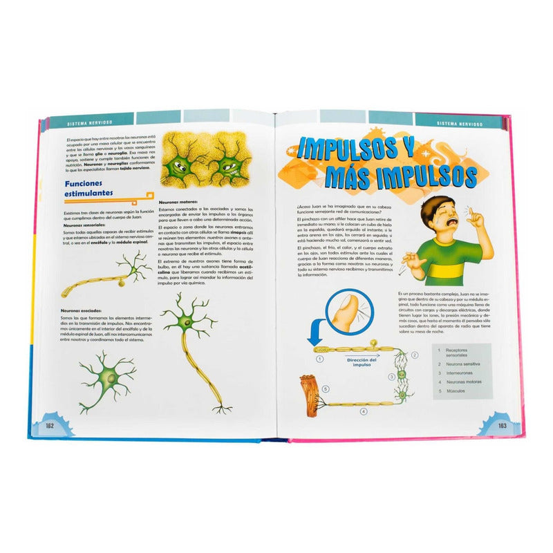 El Cuerpo De Juan / Lexus