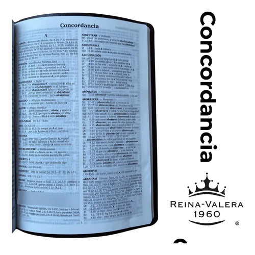 Santa Biblia Reina Valera 1960 Letra Gigante Piel / Sbu