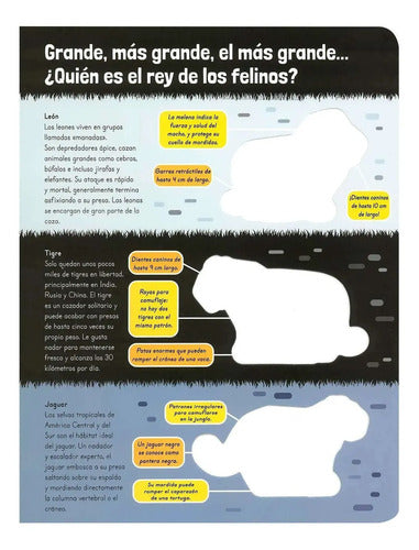 Asombrosos Mega Animales (tapa Dura) / Lexus