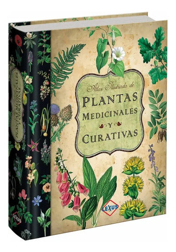 Atlas Ilustrado De Plantas Medicinales (tapa Dura) / Lexus