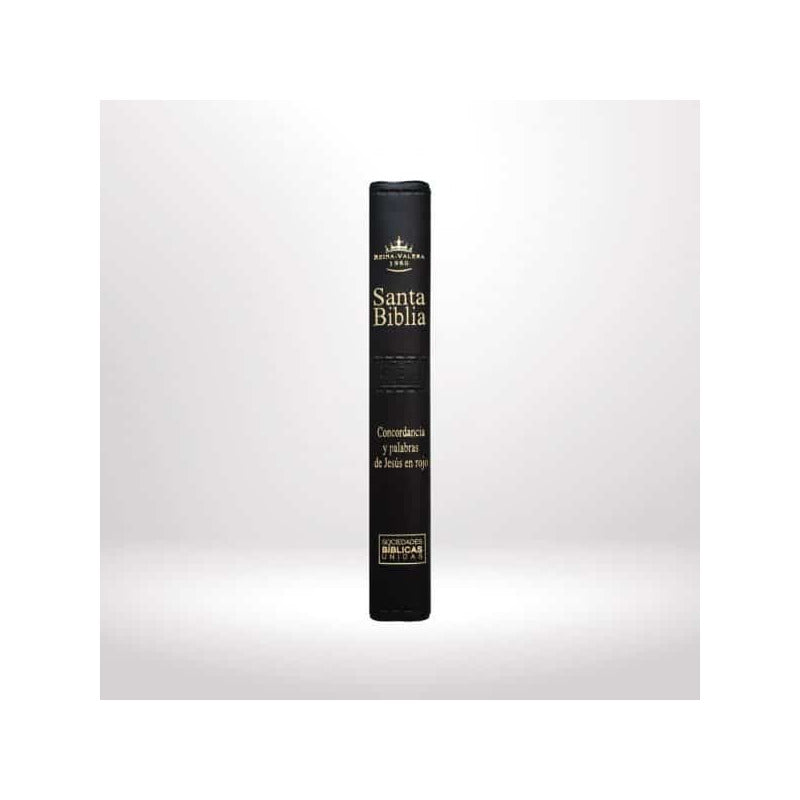 Santa Biblia Rvr 1960 Letra Grande Concordancia Palabra Rojo