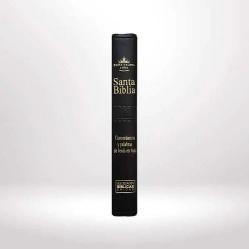 Santa Biblia Rvr 1960 Letra Grande Concordancia Palabra Rojo