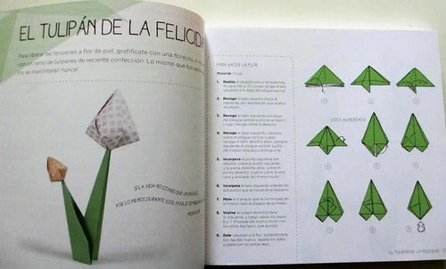 Origami Antiestrés / Didier Boursin