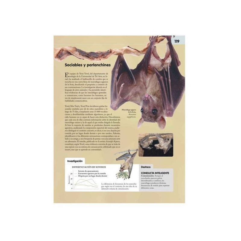 Reino Animal Inteligente (tapa Dura) / Lexus