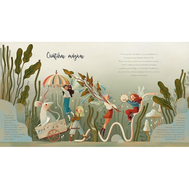 El Magico Mundo De Las Hadas / Claudia Bordin