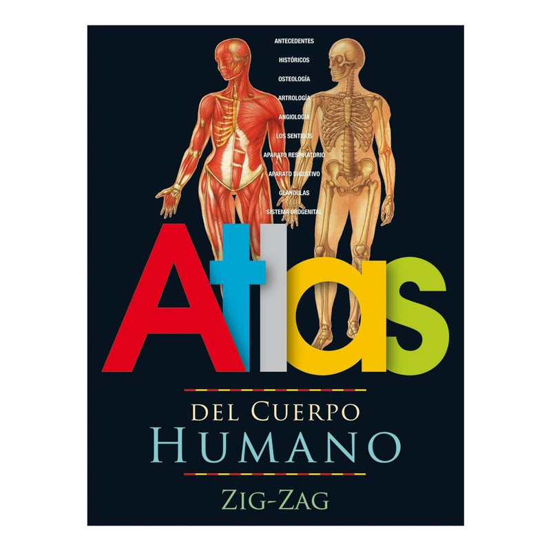 Atlas Del Cuerpo Humano / Zig-zag