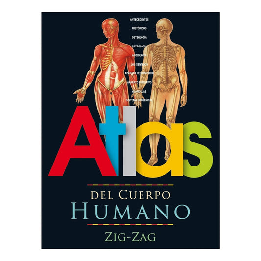 Atlas Del Cuerpo Humano / Zig-zag