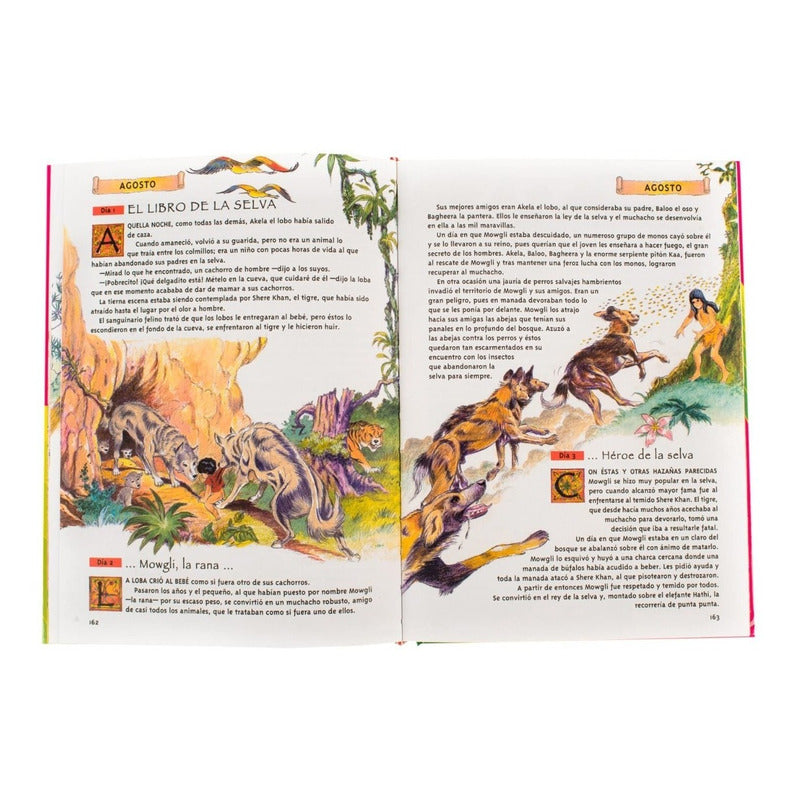 Un Cuento Para Cada Día (tapa Dura) / Lexus