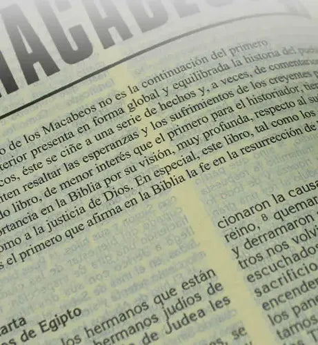 Biblia Latinoamericana Letra Normal (rustica) / Verbo Divino