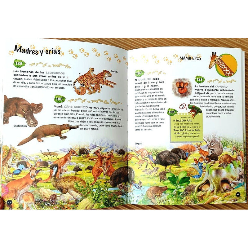 500 Preguntas Y Respuestas Sobre Los Animales (portada 3d)