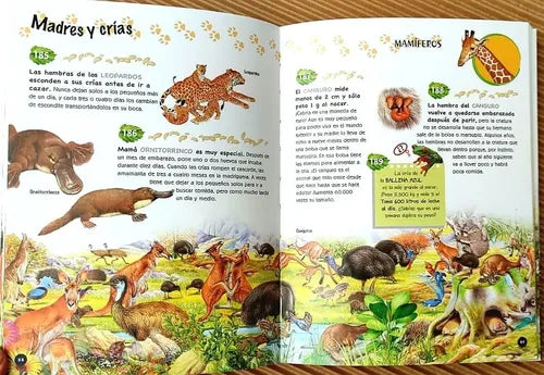 500 Preguntas Y Respuestas Sobre Los Animales (portada 3d)