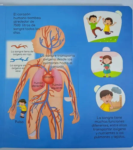 Exploro El Cuerpo Humano (tapa Dura) / Mundicrom