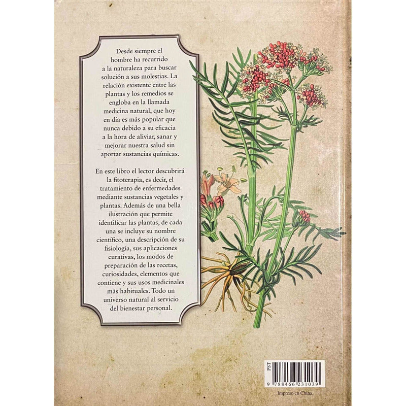 Plantas Que Curan (tapa Dura) / Luis Tomas Melgar