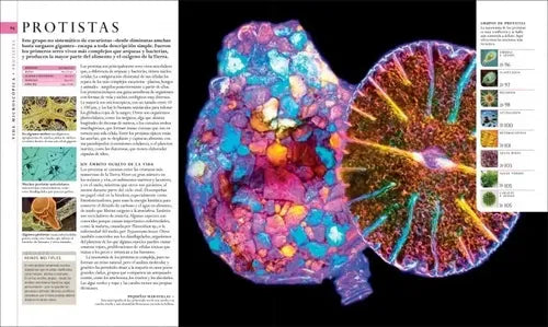 Dk El Libro De La Naturaleza Guia Visual (tapa Dura)