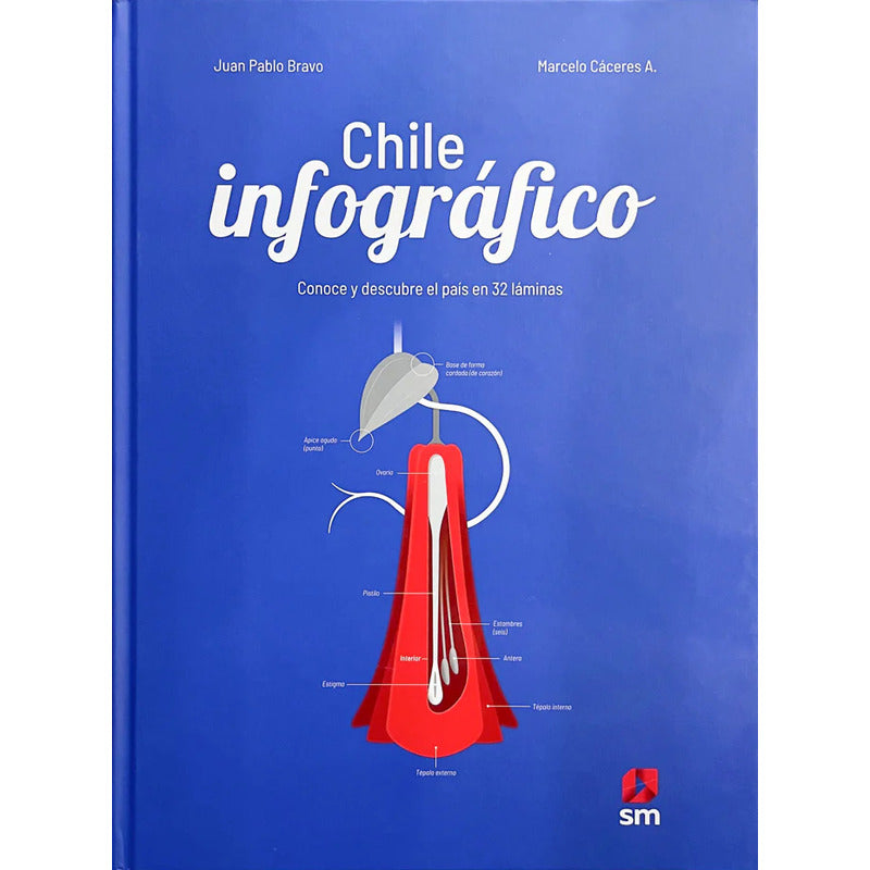Chile Infografico (tapa Dura) / Bravo Y Caceres
