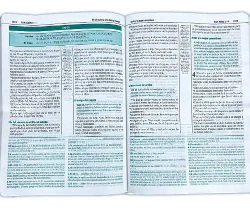 Biblia De Estudio Esquematizada / Sbu