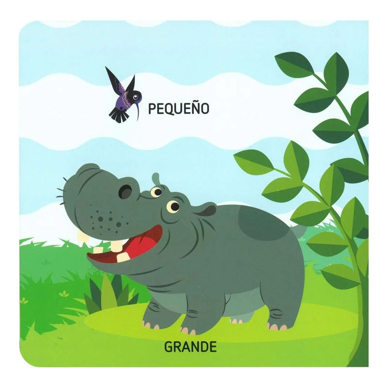 Mi Primer Libro De Opuestos (tapa Dura) / Lexus