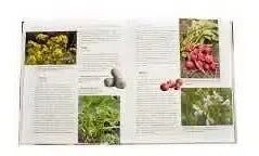 El Huerto Organico Y Ecologico Atlas Ilustrado / Lexus