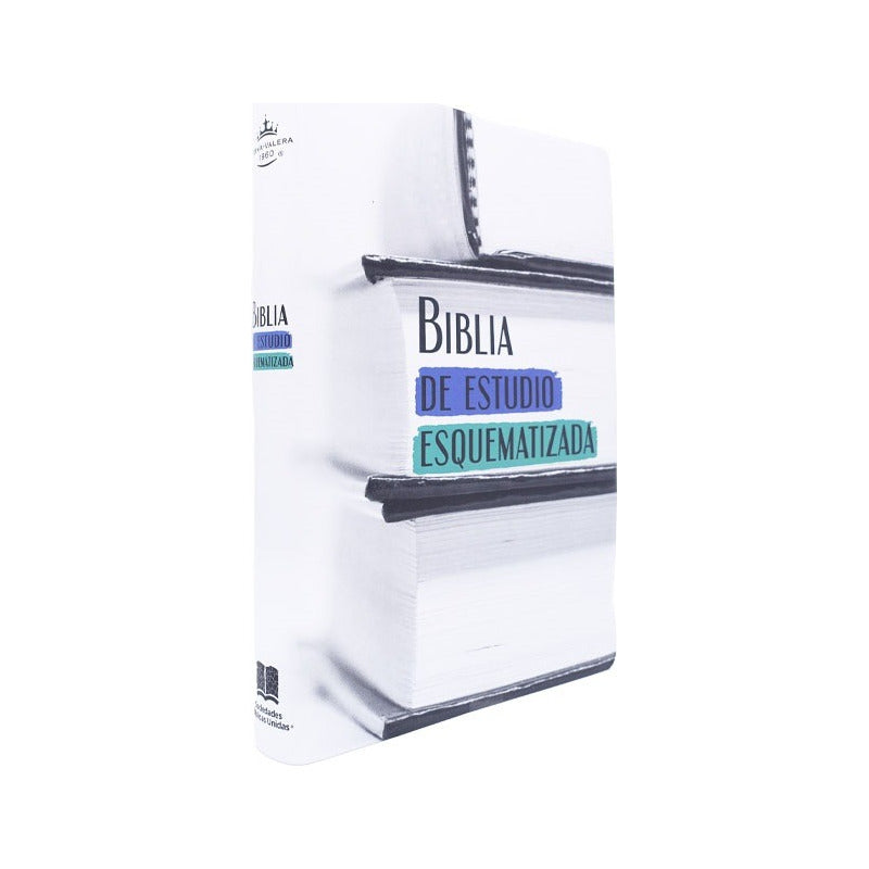 Biblia De Estudio Esquematizada / Sbu