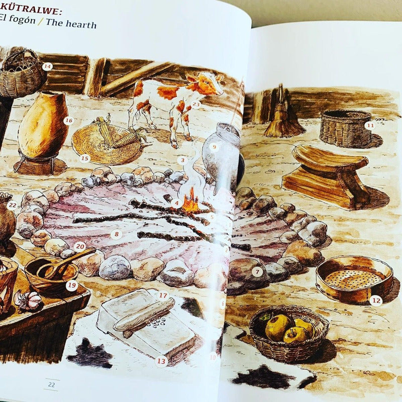 Mapuche Lengua Y Cultura (tapa Dura) / Pehuén