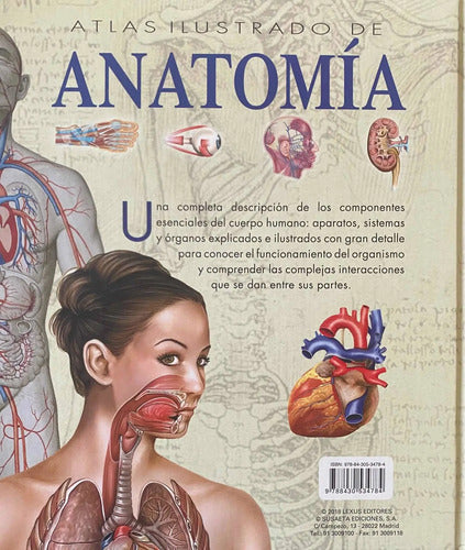 Atlas Ilustrado De Anatomia (tapa Dura) / Lexus