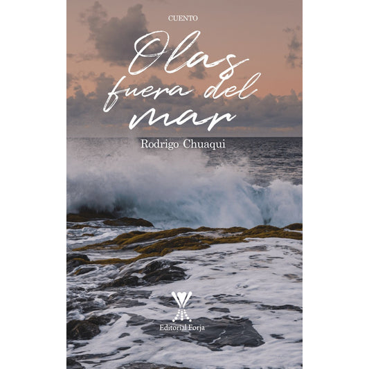 Olas Fuera Del Mar / Rodrigo Chuaqui Farrú