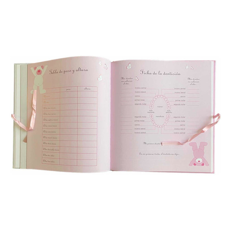 Mi Primer Diario (niña) / Varios Autores