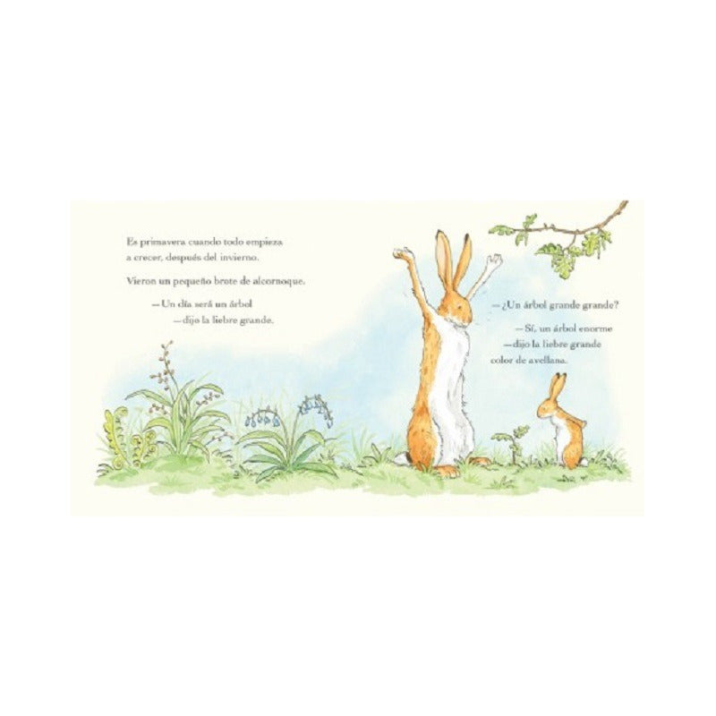 Adivina Cuanto Te Quiero Durante Todo El Año / Sam Mcbratney