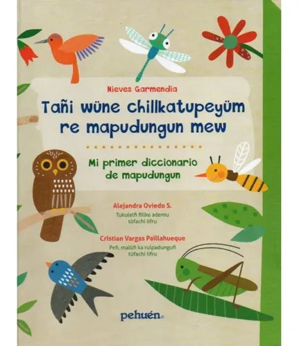 Mi Primer Diccionario De Mapudungun Tañi Wüne Chillkatupeyüm