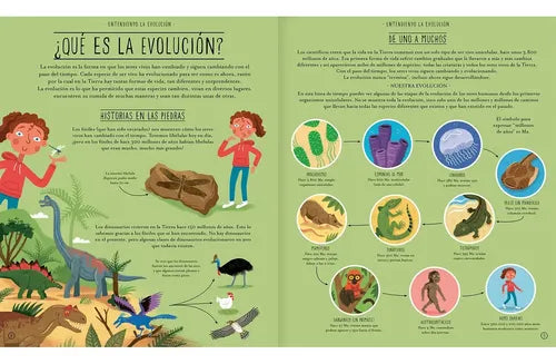 Increible Evolucion Viaje De La Vida (t. Dura) / Claybourne
