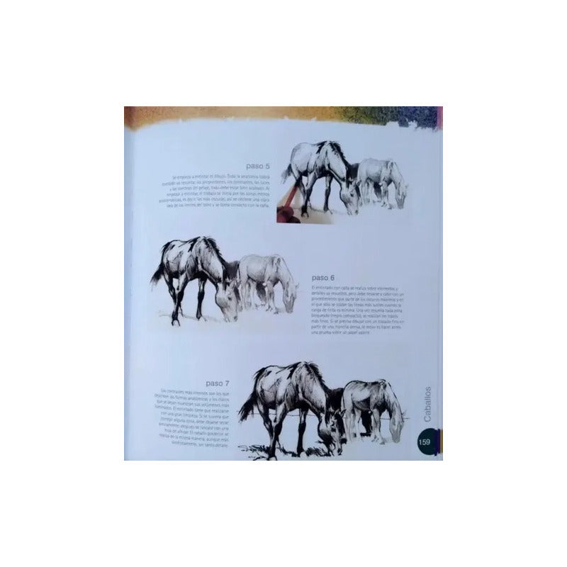 Atlas Ilustrado Guía Práctica De Dibujo (tapa Dura) / Lexus