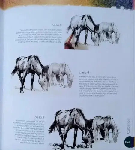 Atlas Ilustrado Guía Práctica De Dibujo (tapa Dura) / Lexus