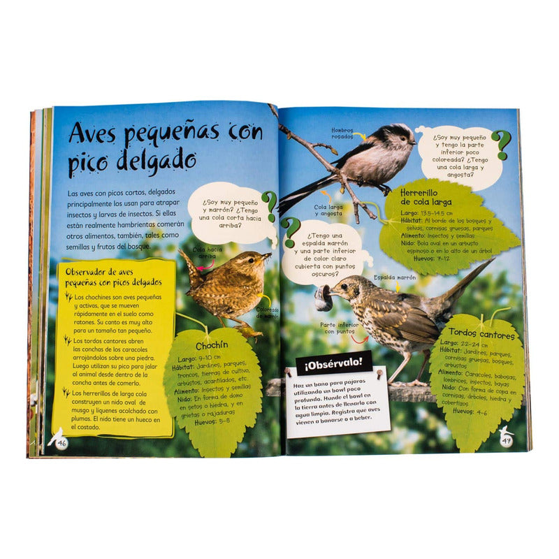 Observa La Vida Silvestre + Práctico Estuche / Lexus