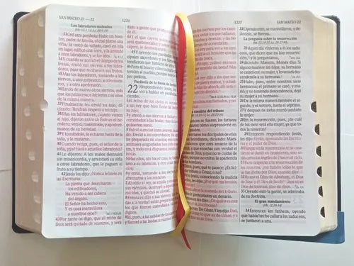 Santa Biblia Reina Valera 1960 Letra Grande Y Concordancia