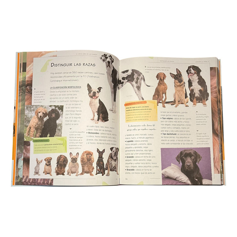 El Gran Libro De Los Perros (tapa Dura) / Servilibro