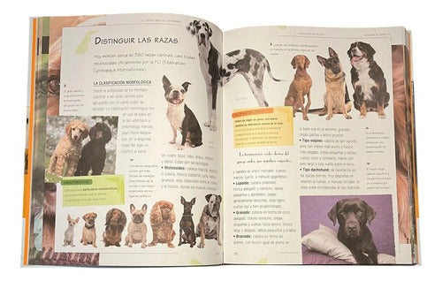 El Gran Libro De Los Perros (tapa Dura) / Servilibro