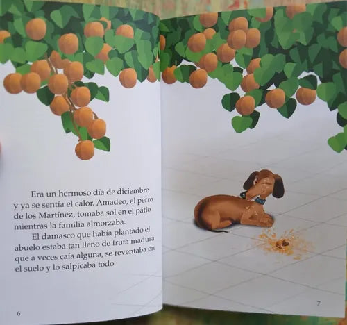 Amadeo Y El Abuelo / Cecilia Beuchat