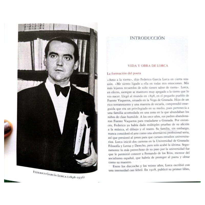 Bodas De Sangre / Federico Garcia Lorca