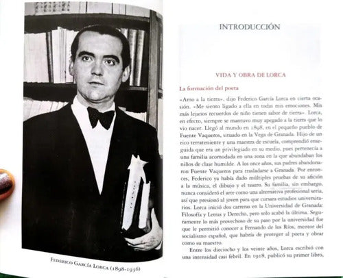 Bodas De Sangre / Federico Garcia Lorca