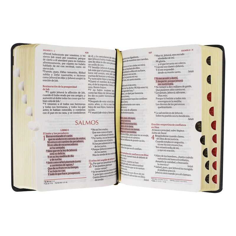 Santa Biblia Fuente De Bendiciones Concordancia Rvr1960