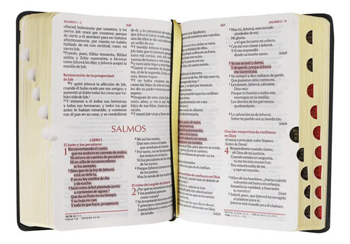 Santa Biblia Fuente De Bendiciones Concordancia Rvr1960