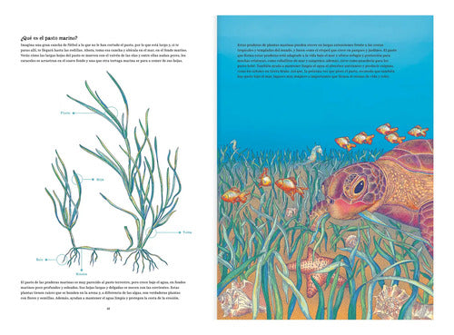 Oceánica (tapa Dura) / Catalina Velasco