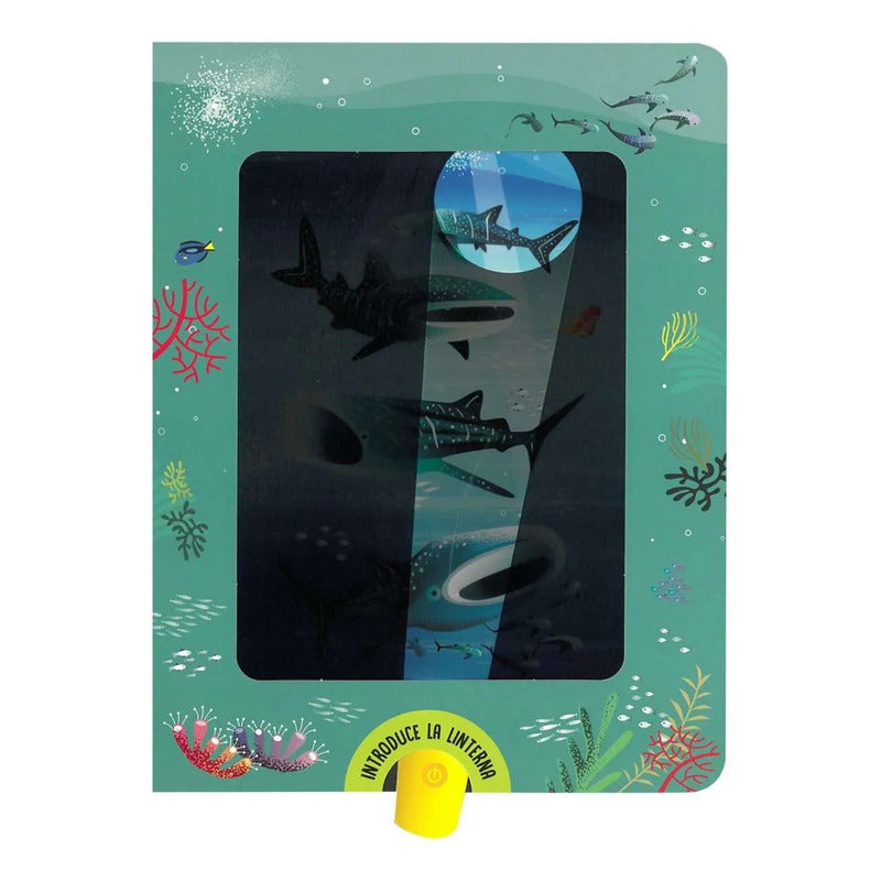 Tiburones Busca Y Encuentra Con Linterna / Lexus