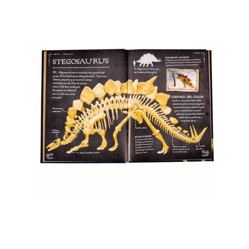 Colección De Huesos Dinosaurios (tapa Dura) / Lexus