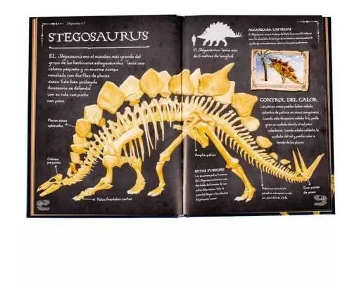 Colección De Huesos Dinosaurios (tapa Dura) / Lexus