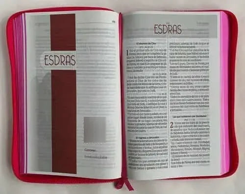 Santa Biblia Rvr 1960 Estuche Fucsia Canto Rosado Qr / Sbu